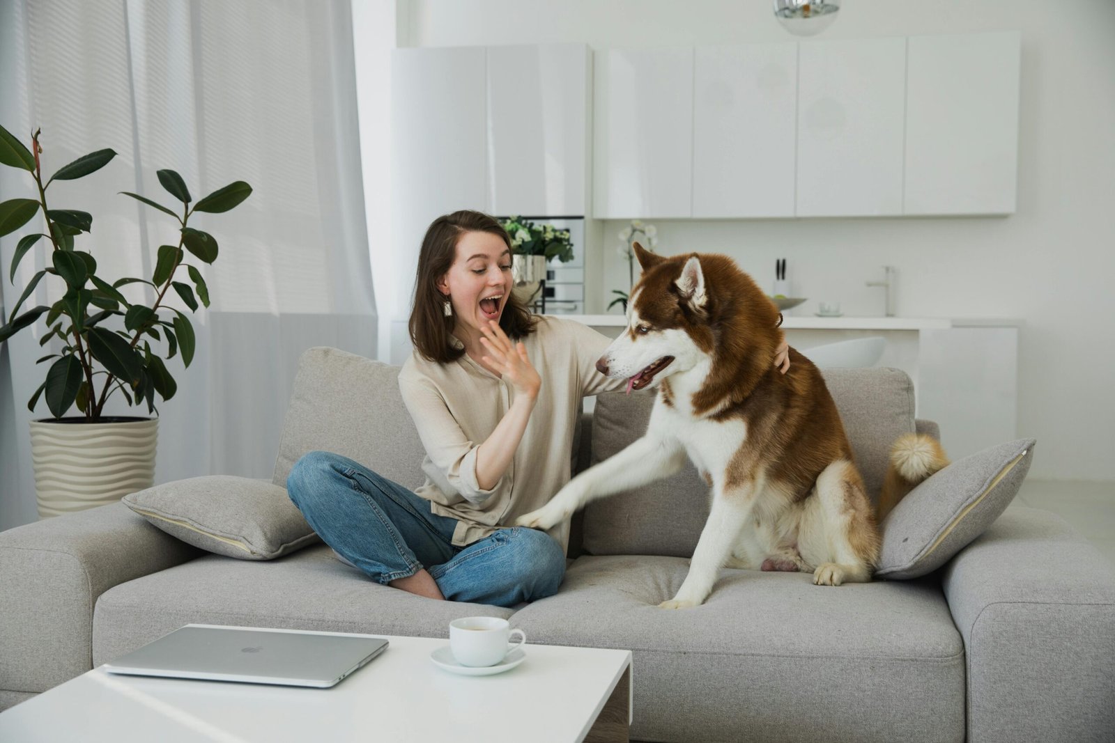 woman on a couch playing with a dog